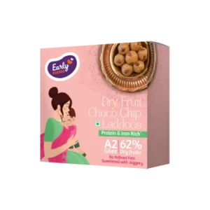 dry-fruit-choco-chip-laddoos-250g